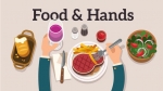 AE模板-食物和手讲解员-Food & Hands Explainer