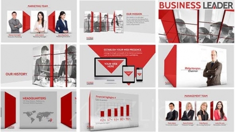 AE模板 业务主管 Business Leader