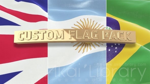 AE模板 自定义标志包 Custom Flag Pack