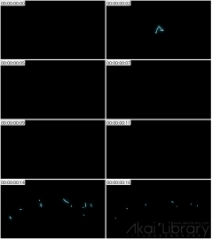 AE模板 手绘闪电能量元素 Hand Drawn Electric Elements Pack | After Effects 02