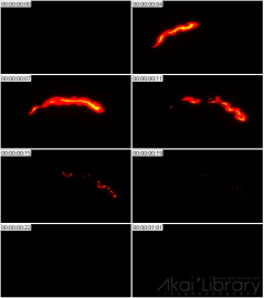 AE模板 手绘火焰元素 Fire Elements Pack 01