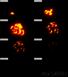 AE模板 手绘火焰元素 Hand Drawn Fire Elements Pack | After Effects 09
