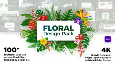 AE模板 MG标题 Floral Design Pack