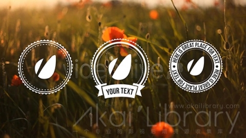 AE模板 复古标题 Light Vintage Lower Thirds Pack