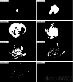 AE模板 动态液体形状线条 Dynamic Liquid Shapes | After Effects 03