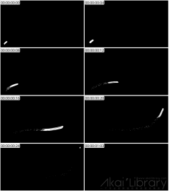 AE模板 手绘线条元素 Hand Drawn Flying Lines | After Effects 07