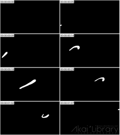 AE模板 手绘线条元素 Flash FX Abstract Shapes | After Effects 08