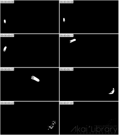 AE模板 手绘线条元素 Hand Drawn Flying Lines | After Effects 09