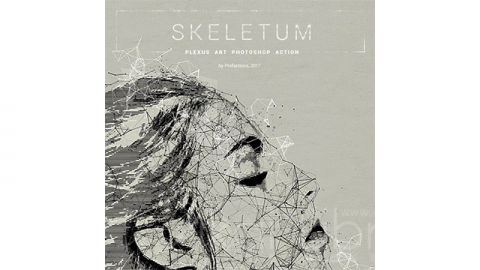 PS动作-Plexus艺术Skeletum - Plexus Art Photoshop Action