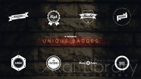AE模板 独特的徽章 Unique Badges