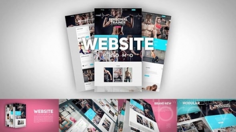 AE模板 网站宣传 Website Promo