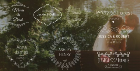 AE模板 婚礼标题 Wedding Titles