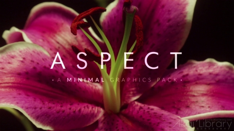 AE模板 视频包装 Aspect