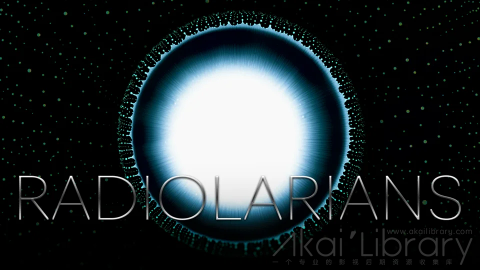视频素材 1080P抽象创意视频RADIOLARIANS