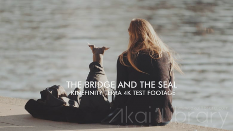 视频素材 4K城市河边风光宣传片The Bridge & The Seal  Kinefinity Terra 4K test footage