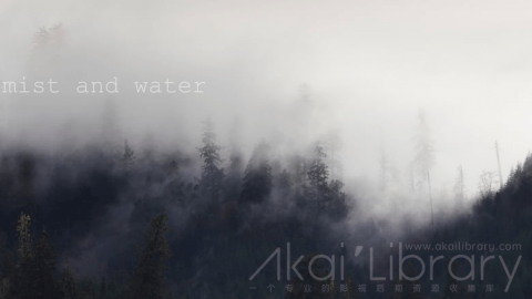 视频素材 4K森林海边自然风光延时宣传片 Mist and Water  (4K)