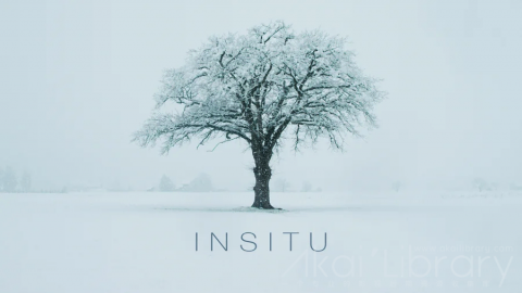 视频素材 4K雪山滑雪自然风光延时宣传片 INSITU by Marion Haerty
