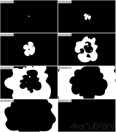 AE模板 手绘液态转场 Funny Liquid Transitions After Effects 03