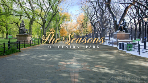 创意参考视频 城市公园风光宣传片The Seasons of Central Park   8K