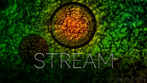 创意参考视频 创意液体视频STREAM