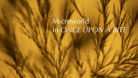 创意参考视频 科学反应创意视频Once Upon a Bite   Macro and Microphotography Trailer