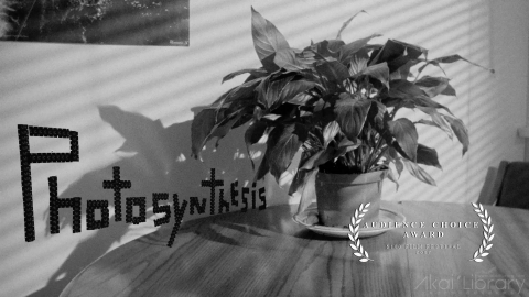 创意参考视频 定格动画创意短片Photosynthesis