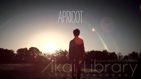 创意参考视频 三维动画创意短片APRICOT — A Short Film by Ben Briand.