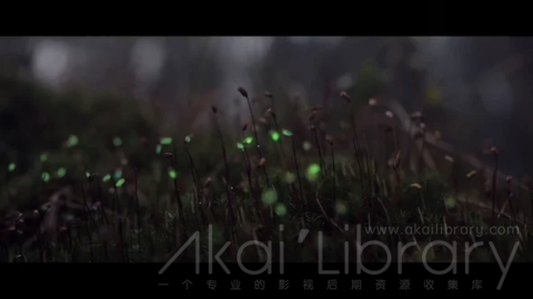 创意参考视频 三维动画创意短片Projections in the Forest