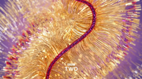 创意参考视频 抽象创意视频BBC two   Christmas 4, Festive Ident