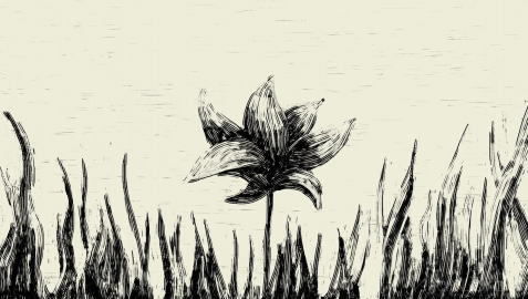 创意参考视频 手绘动画创意短片Le Silence de la rue