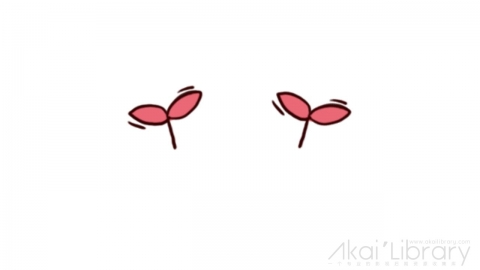 AE模板 卡通两朵红花可爱表情花字弹幕元素