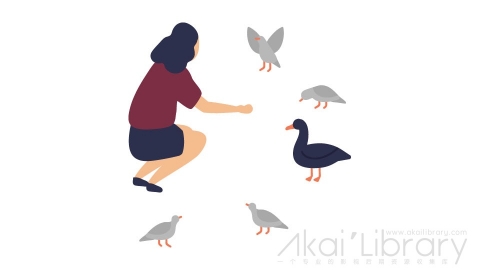 图片素材 扁平喂鸽子女人插画卡通日常角色人物-4