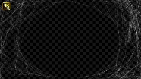 视频素材 前景蜘蛛网包围围绕屏幕动画视频素材spider-web-background-394N9B6