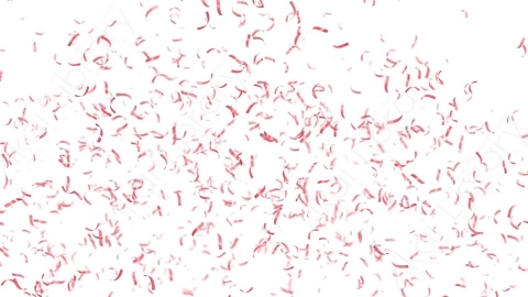 视频素材 喷射爆开彩带纸屑动画视频素材wedding-confetti-3