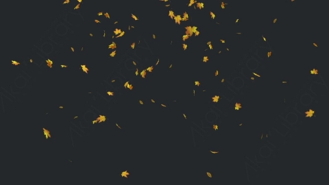 视频素材 枫叶枫树飘落飘动动画视频素材falling-maple-leaves-2-pack-4k-VFP2XTJ23_2