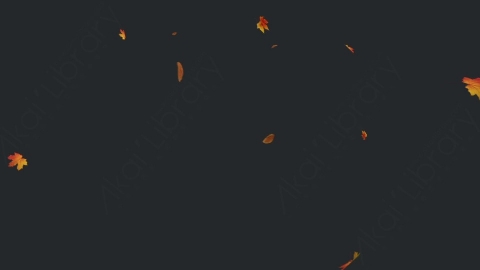 视频素材 枫叶枫树飘落飘动动画视频素材falling-maple-leaves-2-pack-4k-WT7LFS2Maple_21