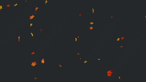 视频素材 枫叶枫树飘落飘动动画视频素材falling-maple-leaves-4-pack-SDNY6QP17_stn_hd