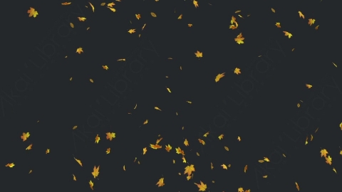 视频素材 枫叶枫树飘落飘动循环动画视频素材falling-maple-leaves-2-pack-4k-VFP2XTJ23_2_loop