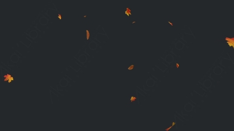 视频素材 枫叶枫树飘落飘动循环动画视频素材falling-maple-leaves-2-pack-4k-WT7LFS2Maple_21_loop
