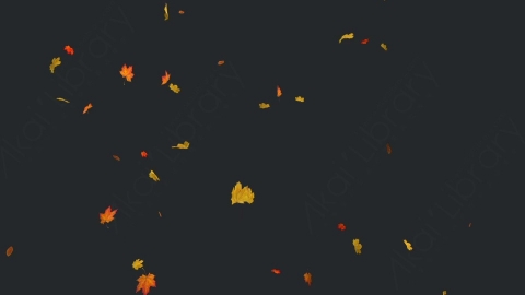 视频素材 枫叶枫树飘落飘动循环动画视频素材falling-maple-leaves-4-pack-SDNY6QP15_loop_HD