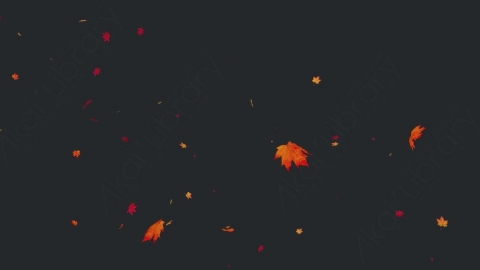 视频素材 枫叶枫树飘落飘动循环动画视频素材falling-maple-leaves-4-pack-SDNY6QP17_loop_hd