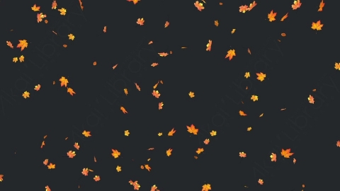 视频素材 枫叶枫树飘落飘动循环动画视频素材falling-maple-leaves-4k-PEDUQ9M48_L_4K