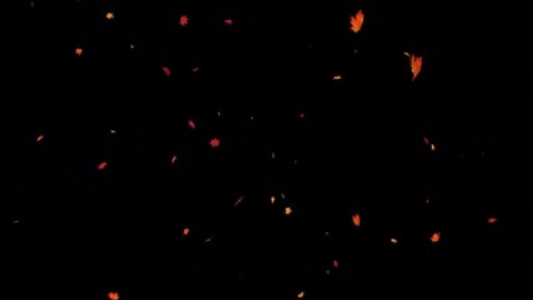 视频素材 枫叶枫树飘落飘动循环动画视频素材falling-maple-leaves-loop-4k-DS6749W