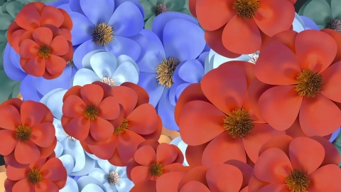 视频素材 花朵花瓣飞舞飘动过渡转场动画视频素材spring-flower-transitions-HN9JZ4802