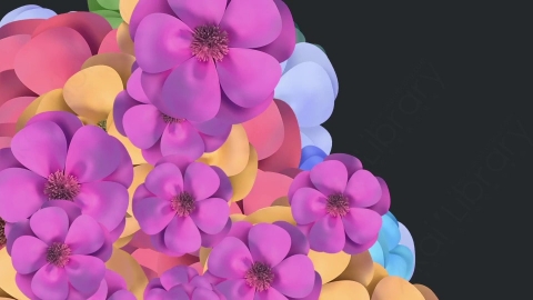 视频素材 花朵花瓣飞舞飘动过渡转场动画视频素材spring-flower-transitions-HN9JZ4803