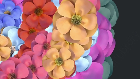 视频素材 花朵花瓣飞舞飘动过渡转场动画视频素材spring-flower-transitions-HN9JZ4806
