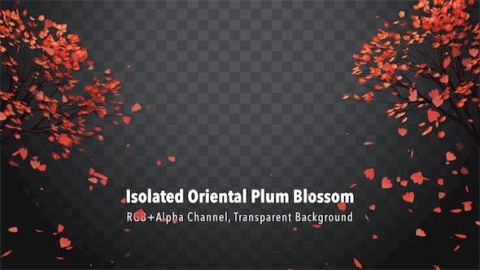 视频素材 梅花梅树花瓣飘落飘动飞舞动画视频素材isolated-oriental-plum-blossom-MQ6XHE3