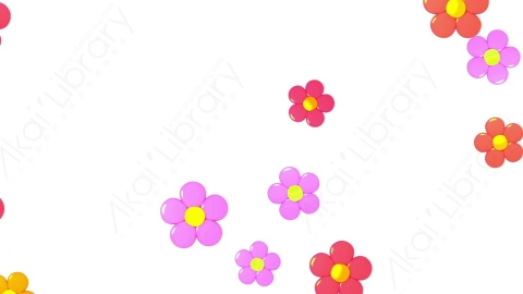 视频素材 前景卡通花瓣下落包围围绕屏幕动画视频素材-01 isolated flowers overlay