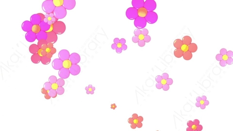 视频素材 前景卡通花瓣下落包围围绕屏幕动画视频素材-03 isolated flowers overlay