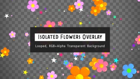 视频素材 前景下落的卡通花朵动画视频素材isolated-flowers-overlay-KYCXWRM